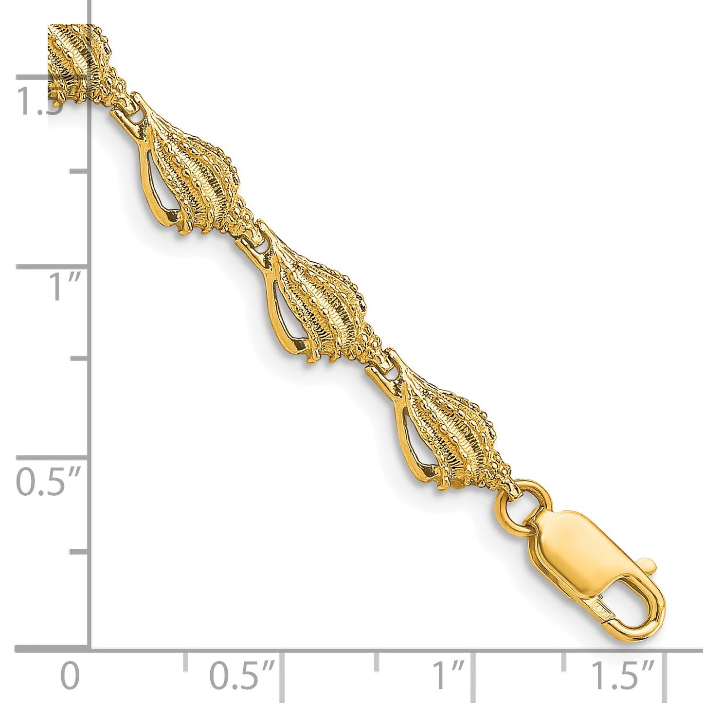 14k Textured Conch Shell 7.25 inch Bracelet