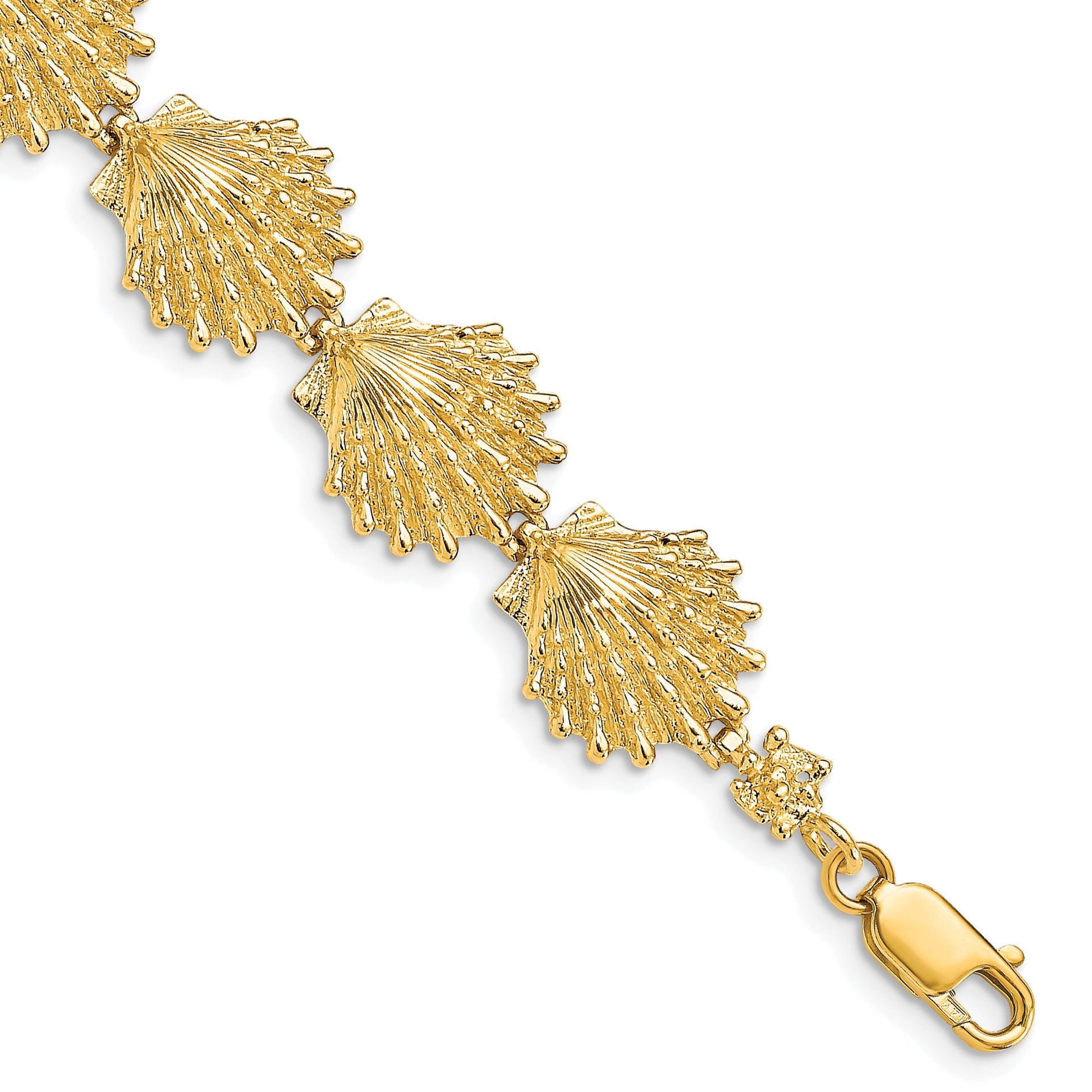 14k Polished Lions Paw Shell 7 inch Bracelet
