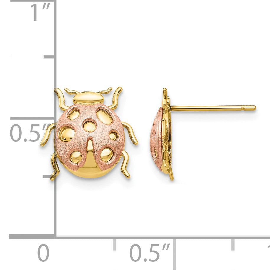 14k Two-Tone Satin and Polished Ladybug Post Earrings