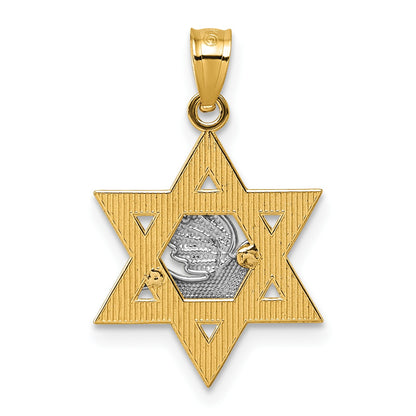 14k Two-tone Textured Dove On Star Of David Pendant