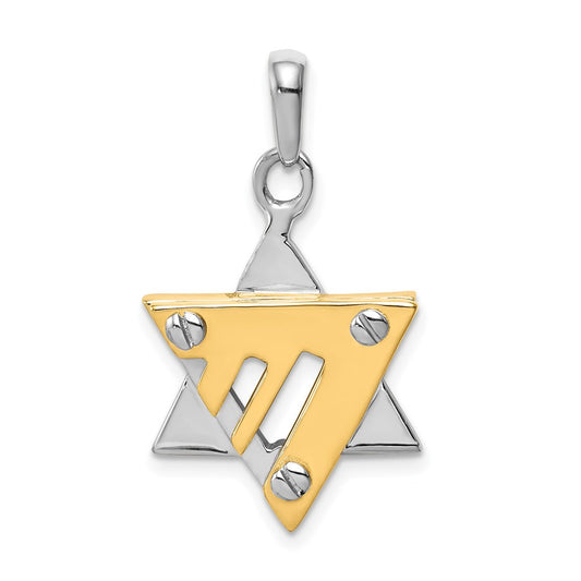 14k Two-tone Star of David Pendant