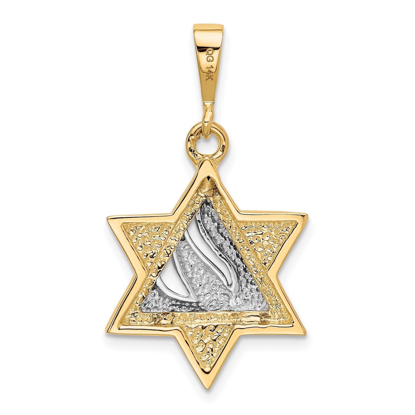 14k Two-tone Star of David with Shin Symbol Pendant