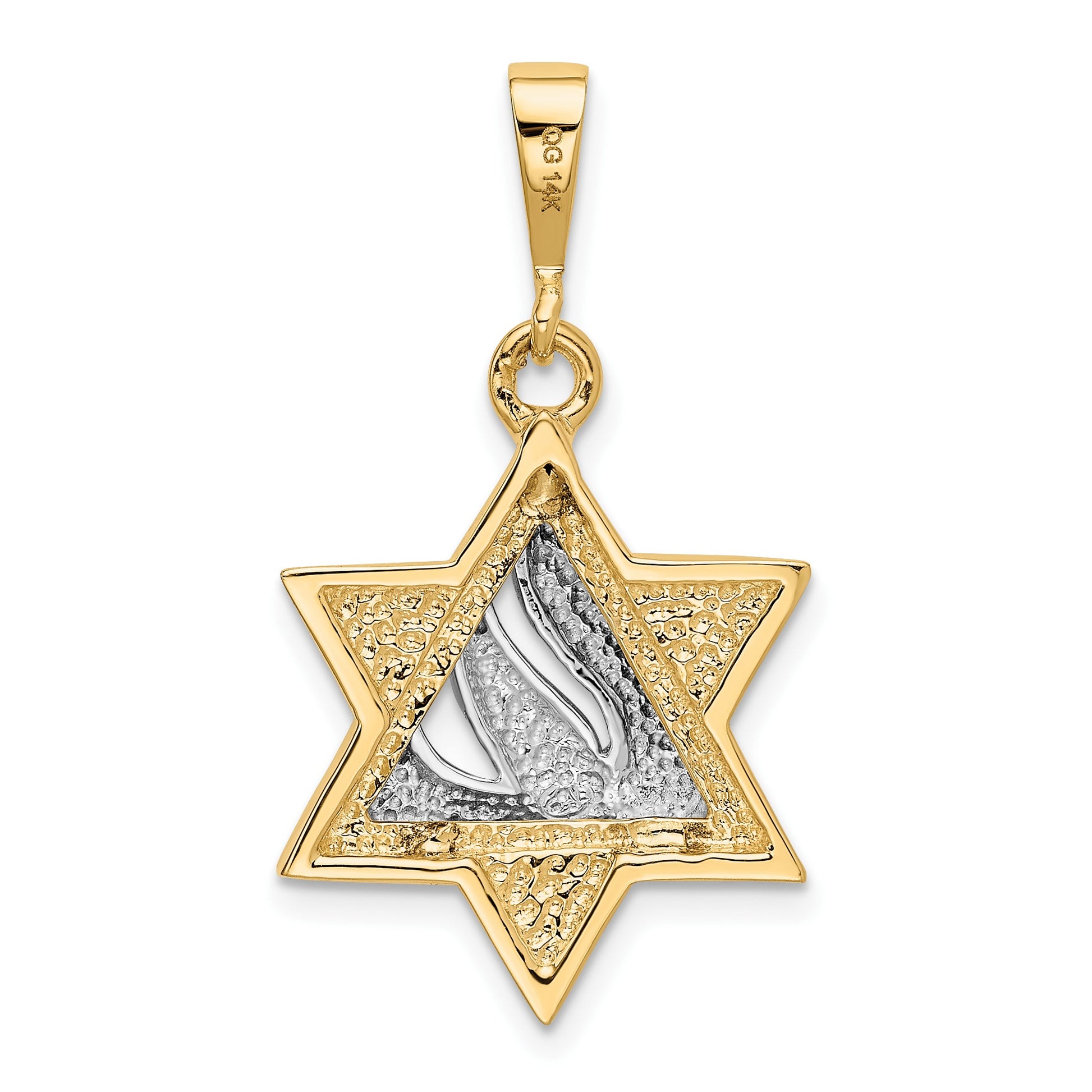 14k Two-tone Star of David with Shin Symbol Pendant