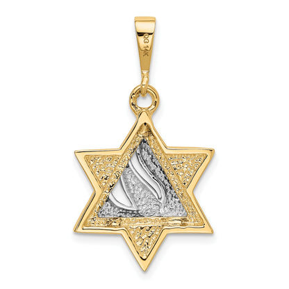 14k Two-tone Star of David with Shin Symbol Pendant