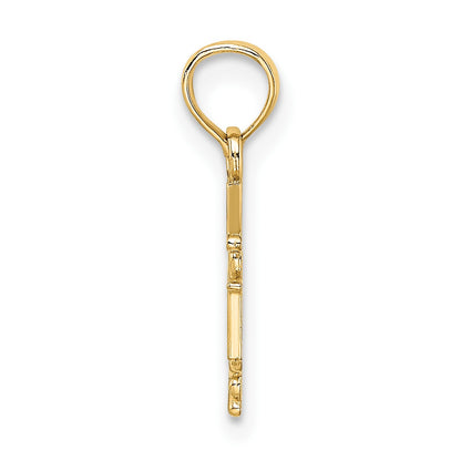 14K RN Registered Nurse Caduceus Charm