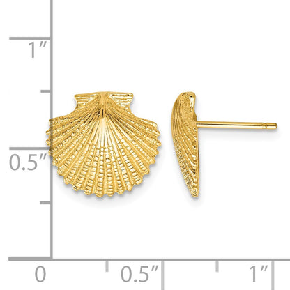 14K Scallop Shell Post Earrings