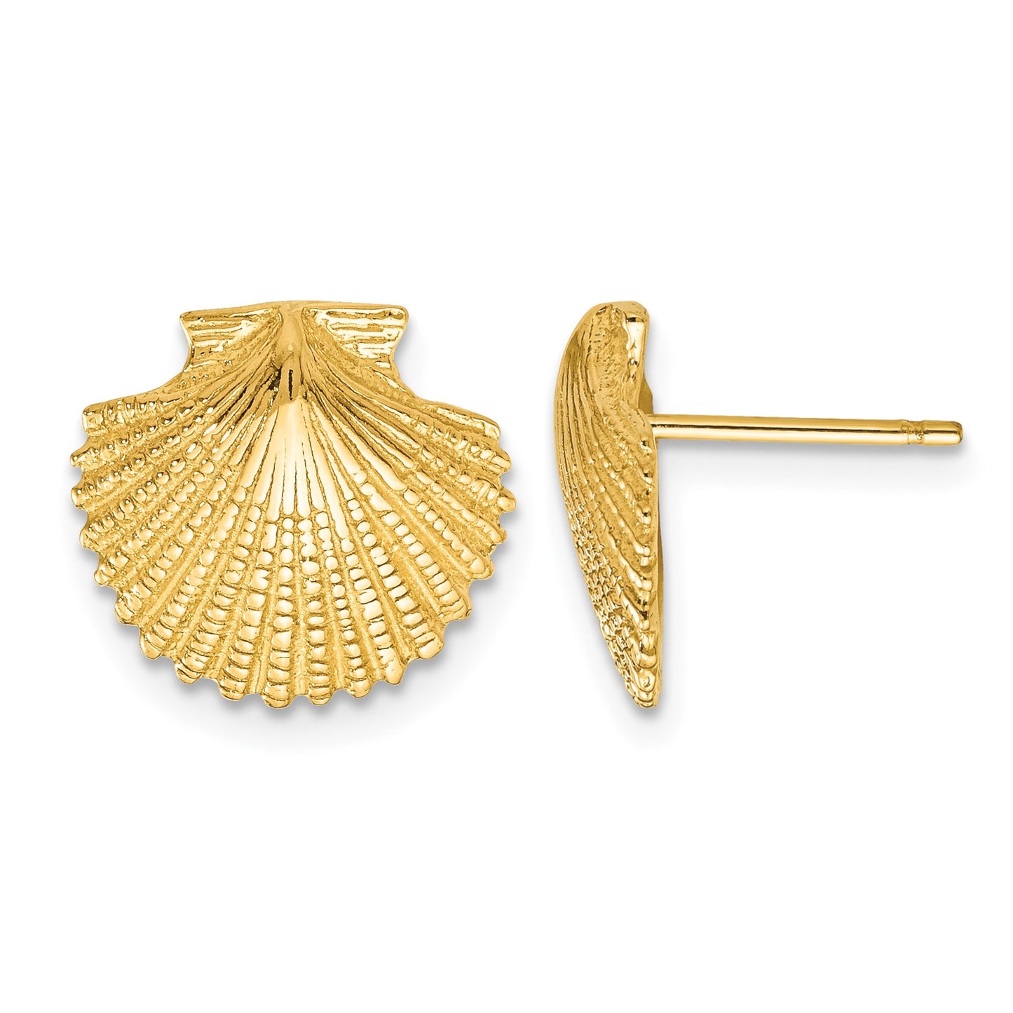 14K Scallop Shell Post Earrings
