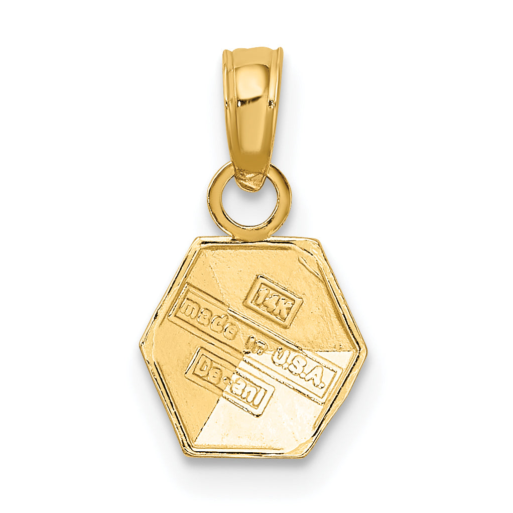 14k Yellow Gold AB with Apple Baby Block Charm
