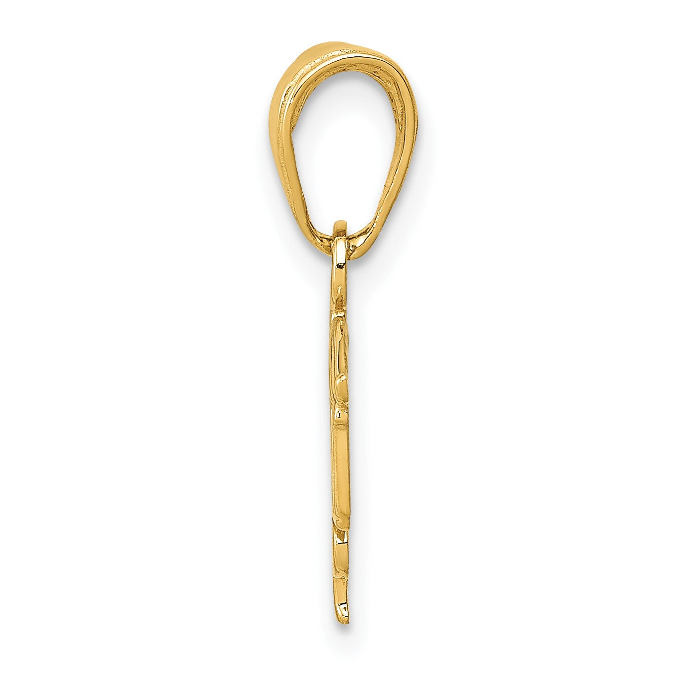 14k LPN Licensed Practical Nurse Symbol Pendant