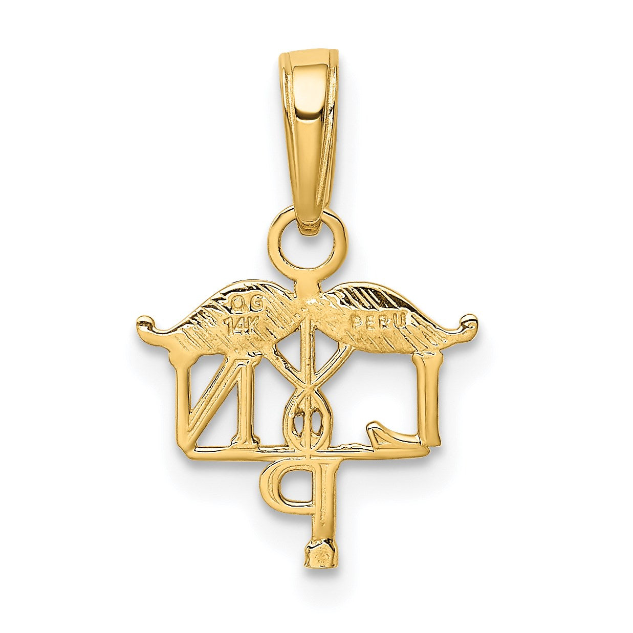 14k LPN Licensed Practical Nurse Symbol Pendant