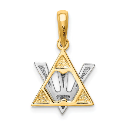 14K Two-tone Star of David with Shin Symbol Charm