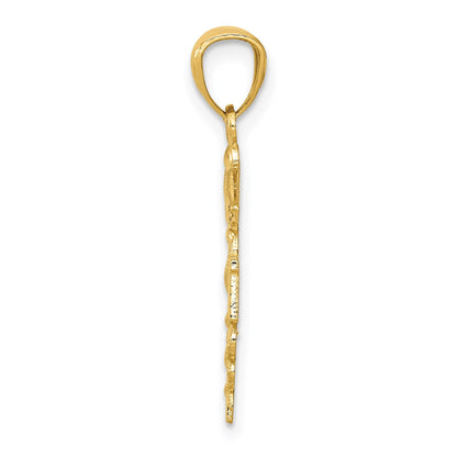 14k Diamond-cut Polished RN Registered Nurse Pendant