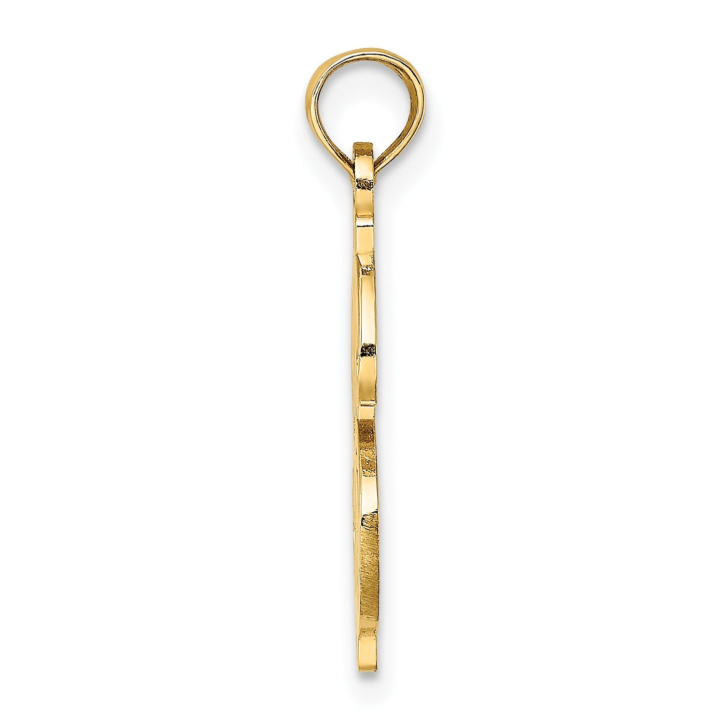 14K Textured Dollar Sign Charm