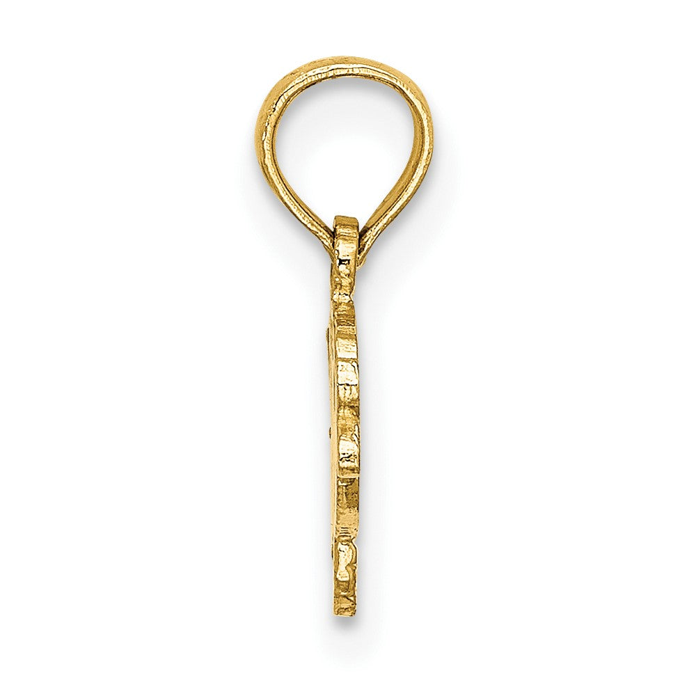 14K Flat Textured Playful Fish Charm