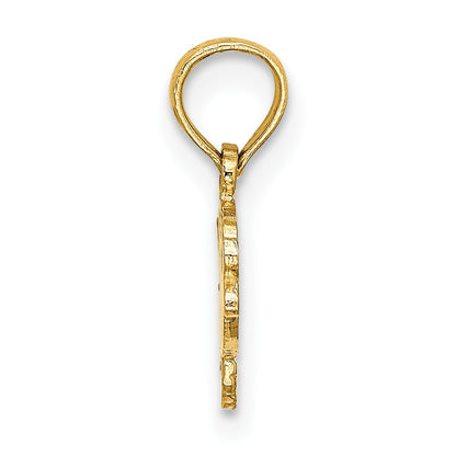 14K Flat Textured Playful Fish Charm