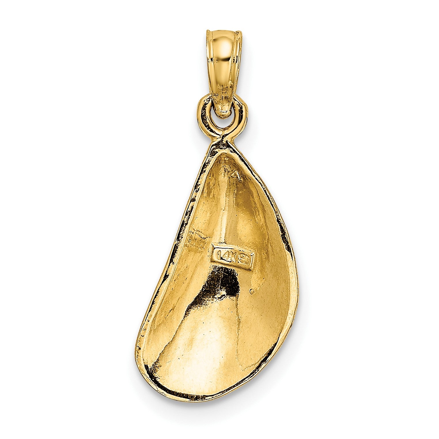 14K Polished Mussel Shell Charm