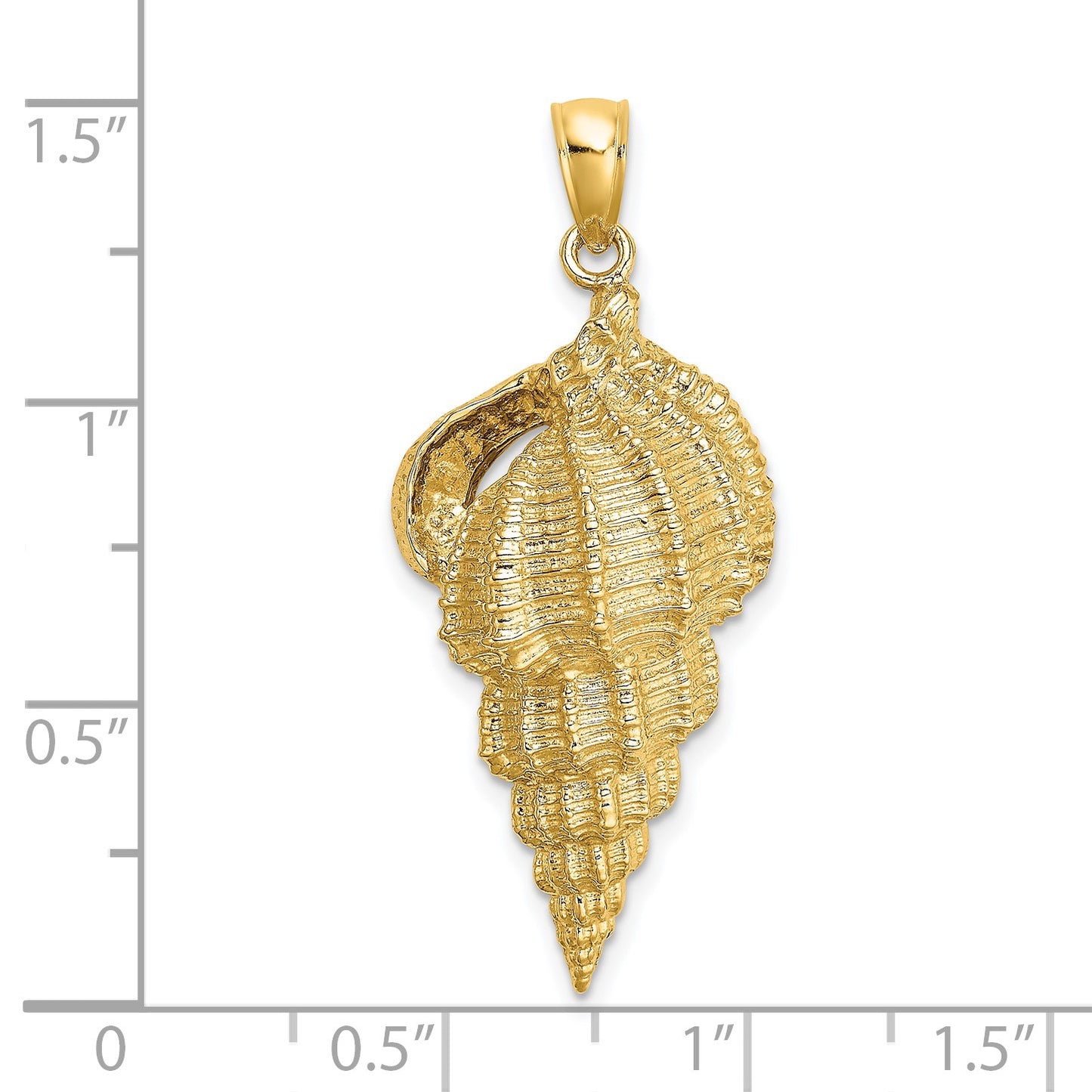14K Wentletrap Shell Charm