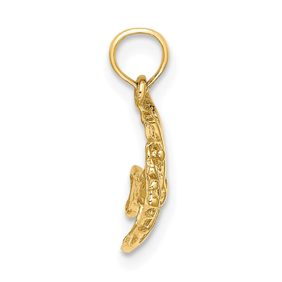 14K Polished Textured Bannerfish Charm