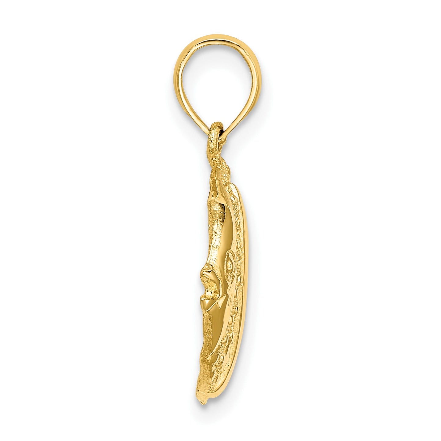 14K Polished  Textured Butterfly Fish Charm