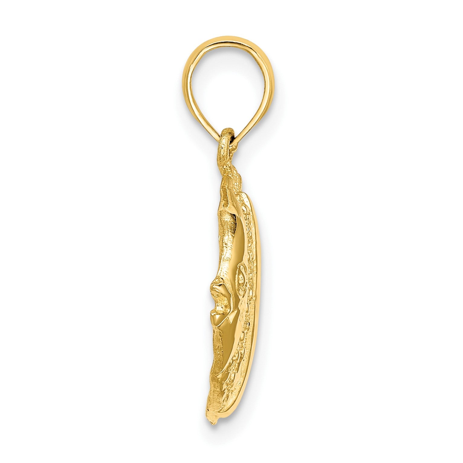 14K Polished  Textured Butterfly Fish Charm