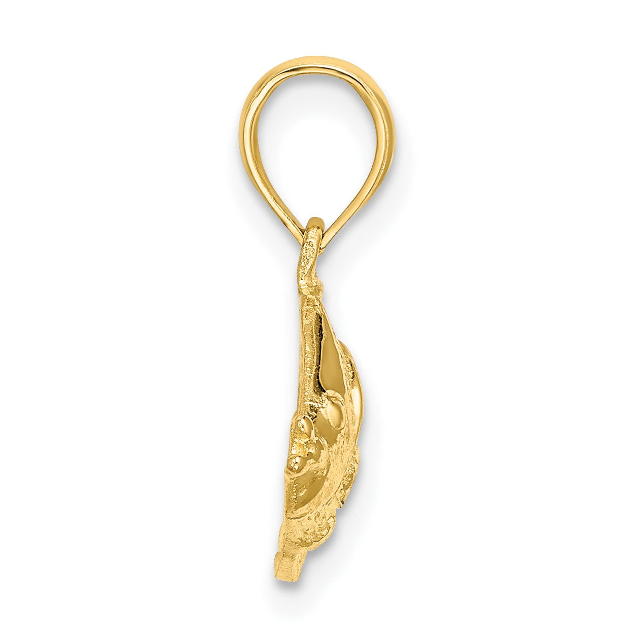 14K Polished Textured Bannerfish Charm