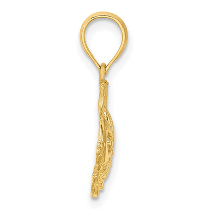 14K Polished Textured Goldish Charm