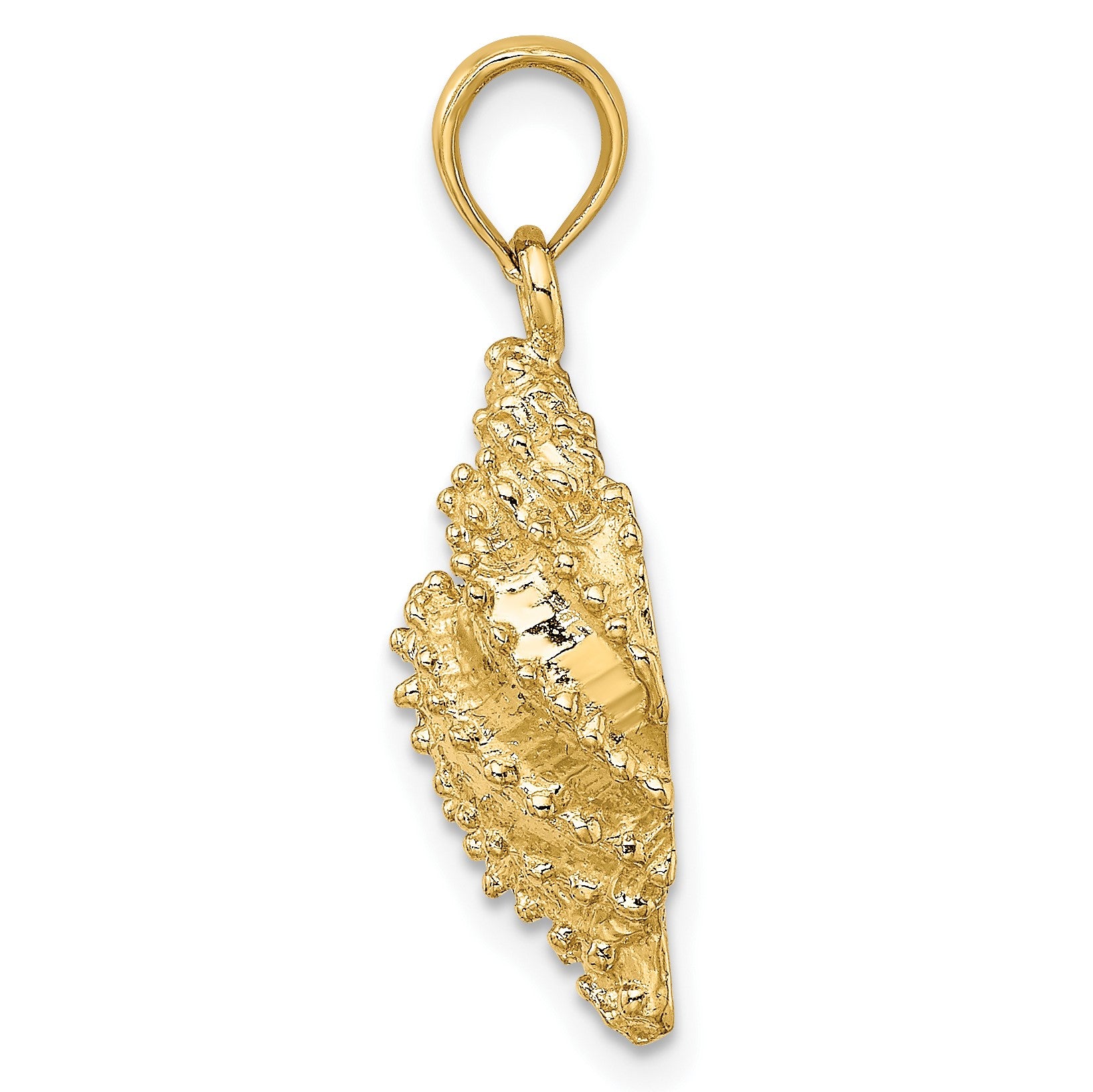 14K Textured Conch Shell Charm