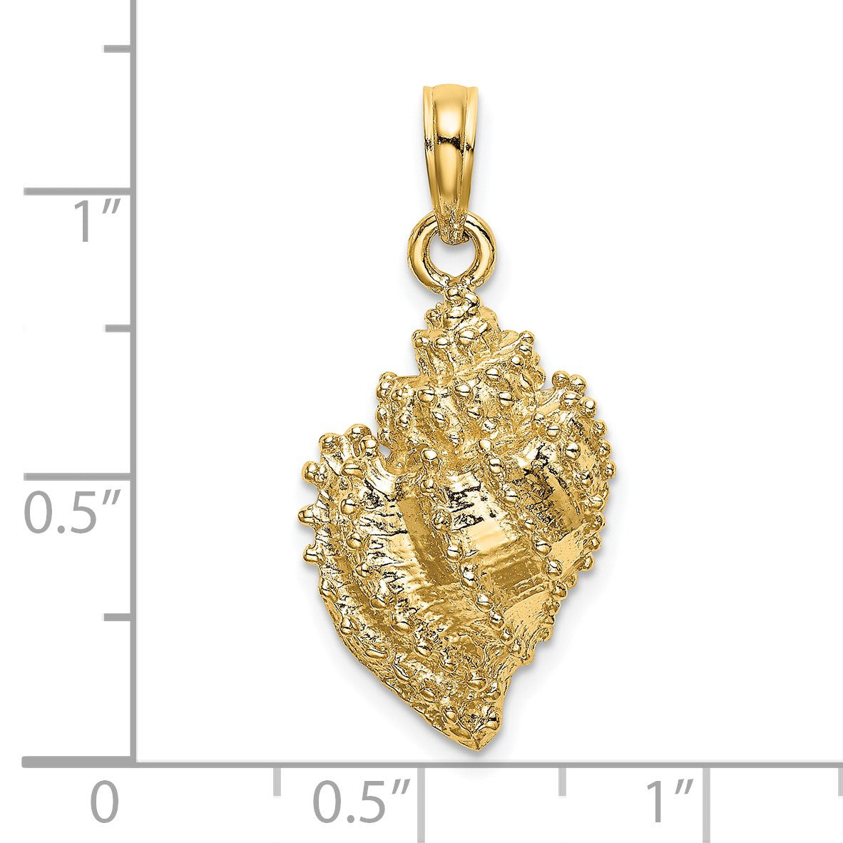 14K Textured Conch Shell Charm