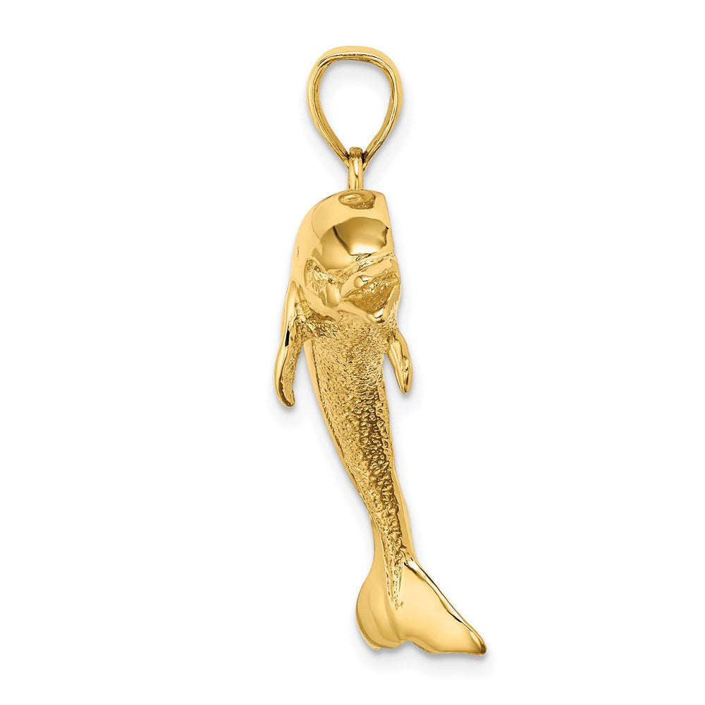 14K Polished and Textured Jumping Dolphin Charm