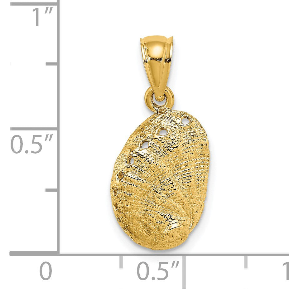 14K Abalone Shell Charm