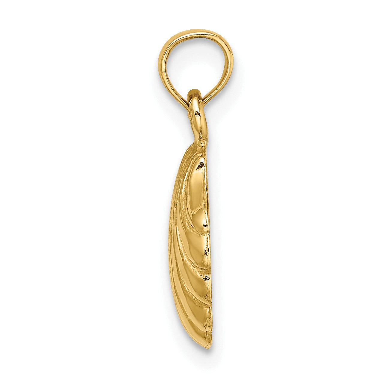 14K Polished Scallop Shell Charm