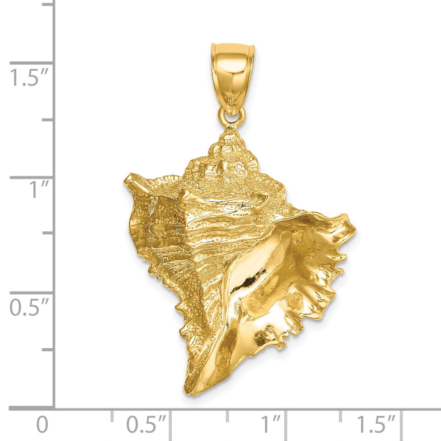 14K Large Textured 2-D Conch Shell Charm