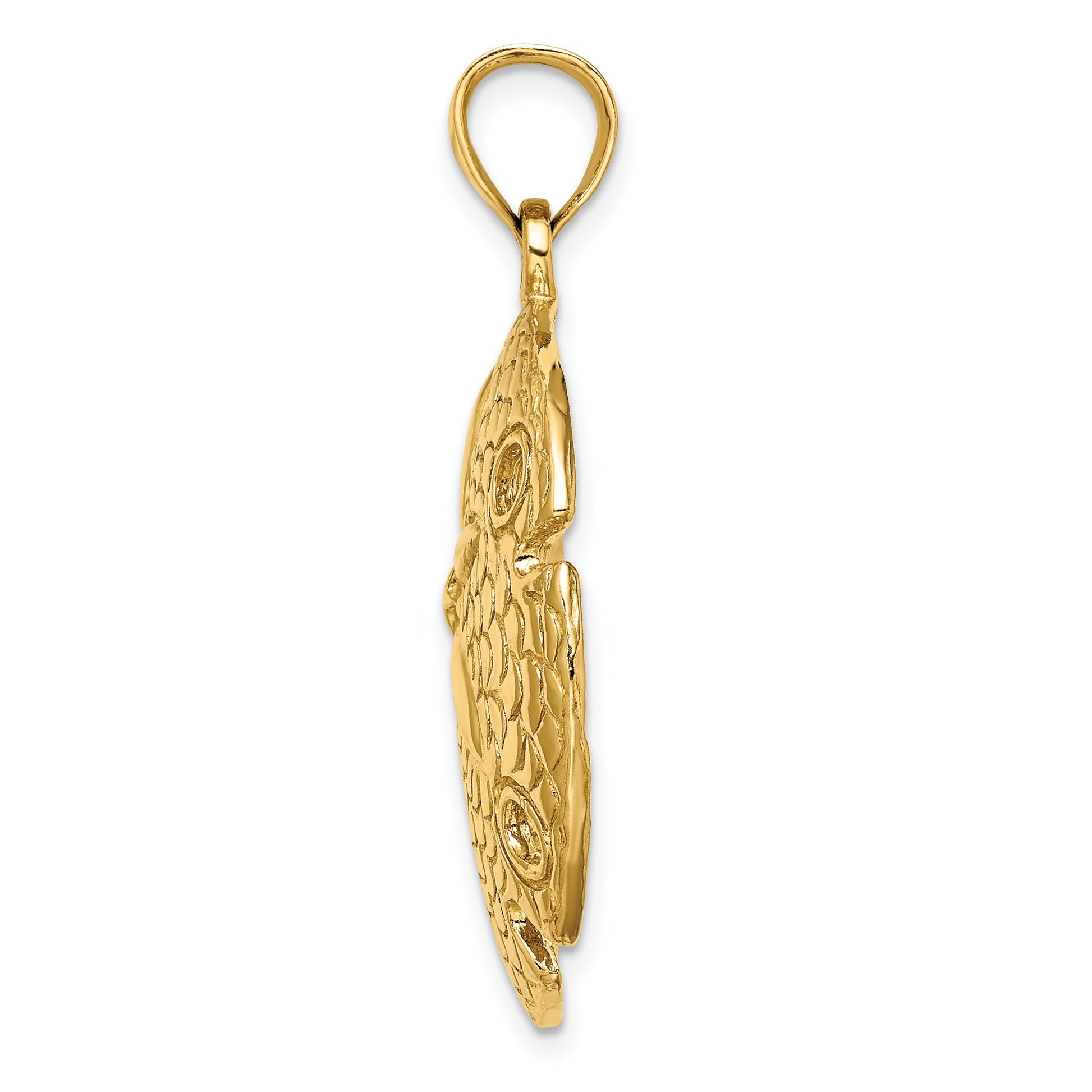 14K Polished and Textured Large Sand Dollar Charm