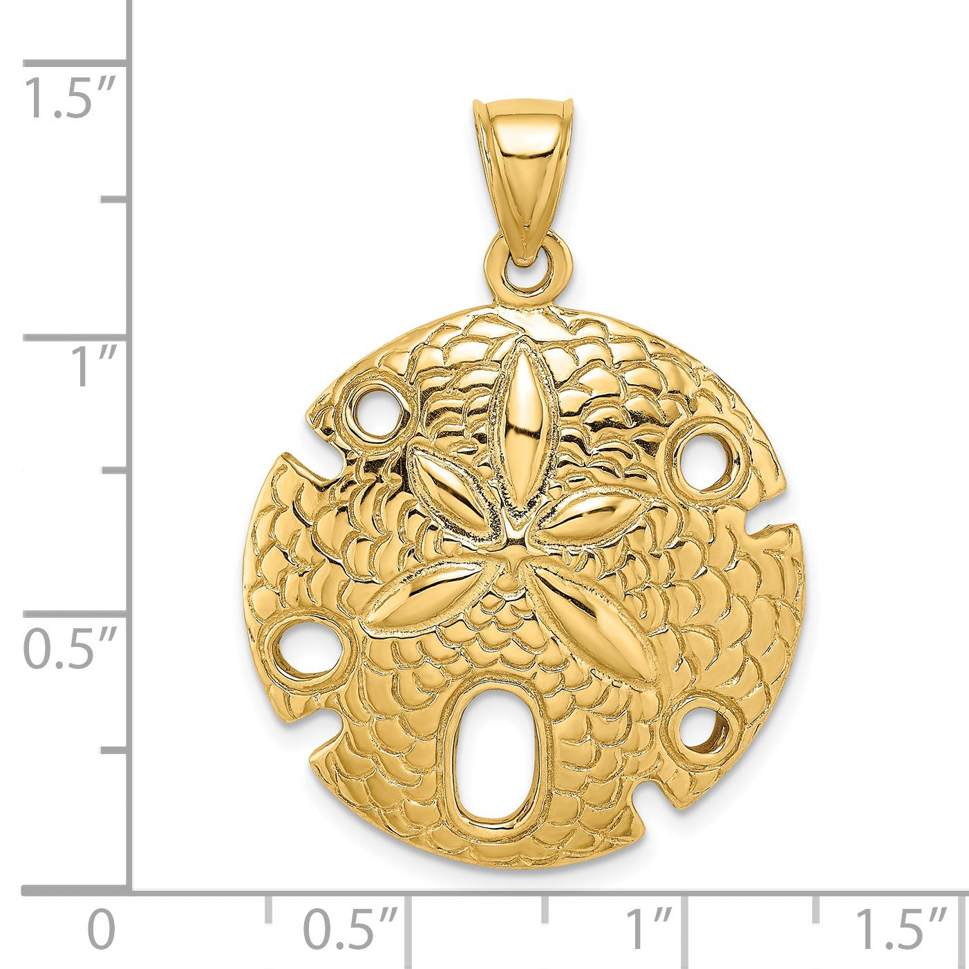 14K Polished and Textured Large Sand Dollar Charm