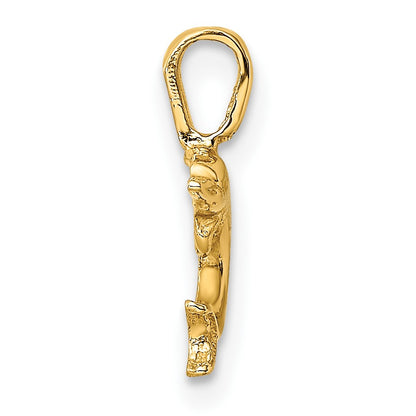 14K Mini Jumping Dolphin with Fixed Bail Charm