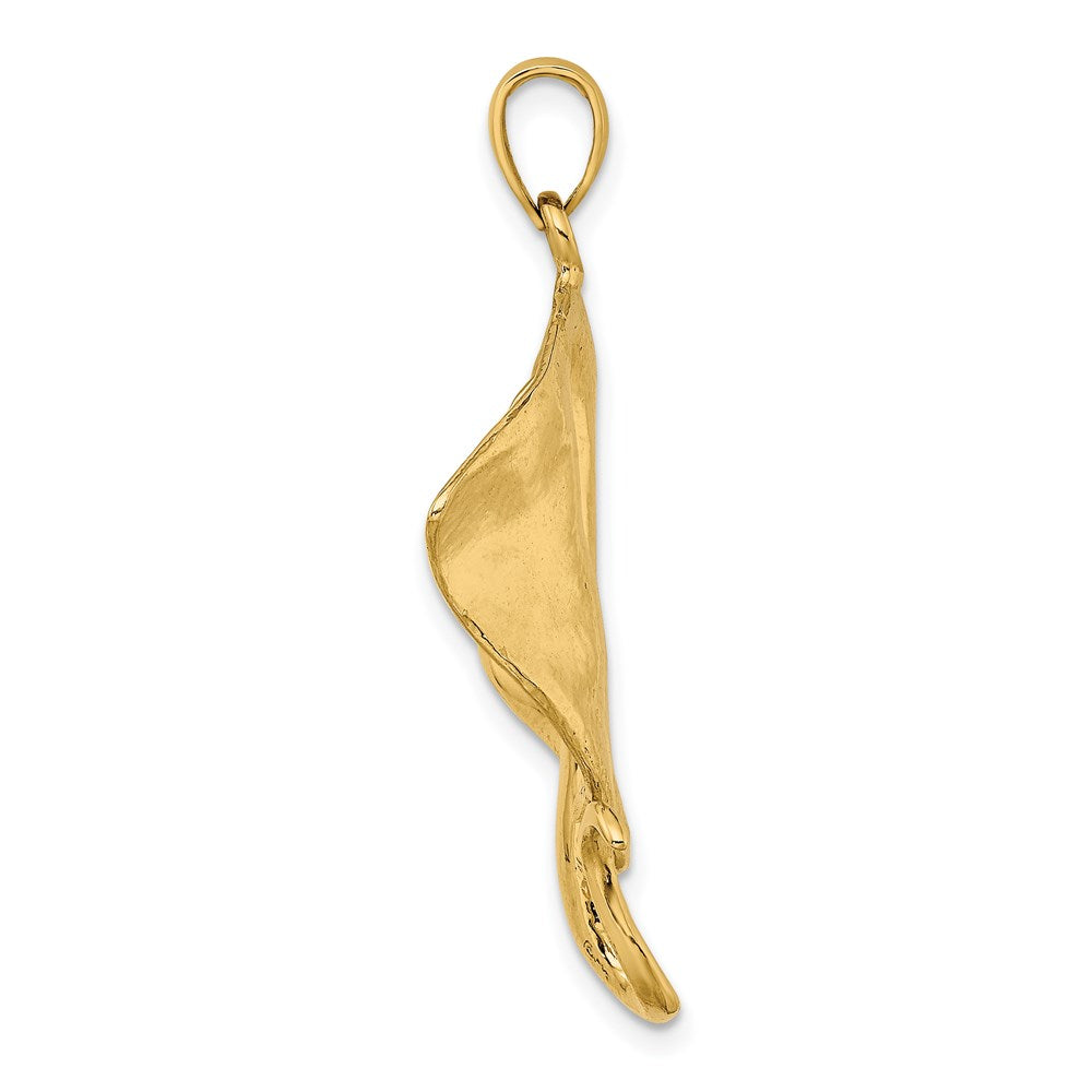 14k Polished Stingray Charm