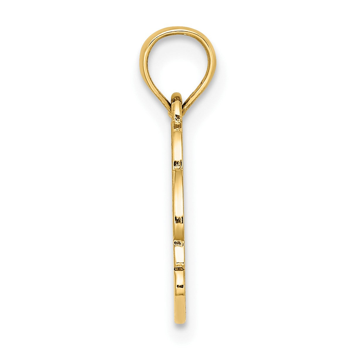 14K Textured NAGS HEAD with Dolphin Charm