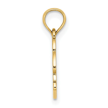 14K Textured NAGS HEAD with Dolphin Charm