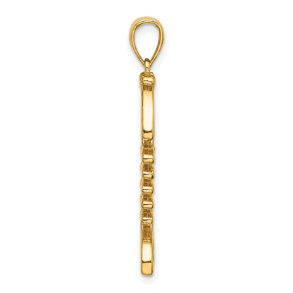 14K 3-D Polished and Textured Fishbone Charm