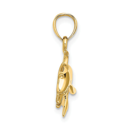 14K Textured and Polished Dolphin Jumping Charm
