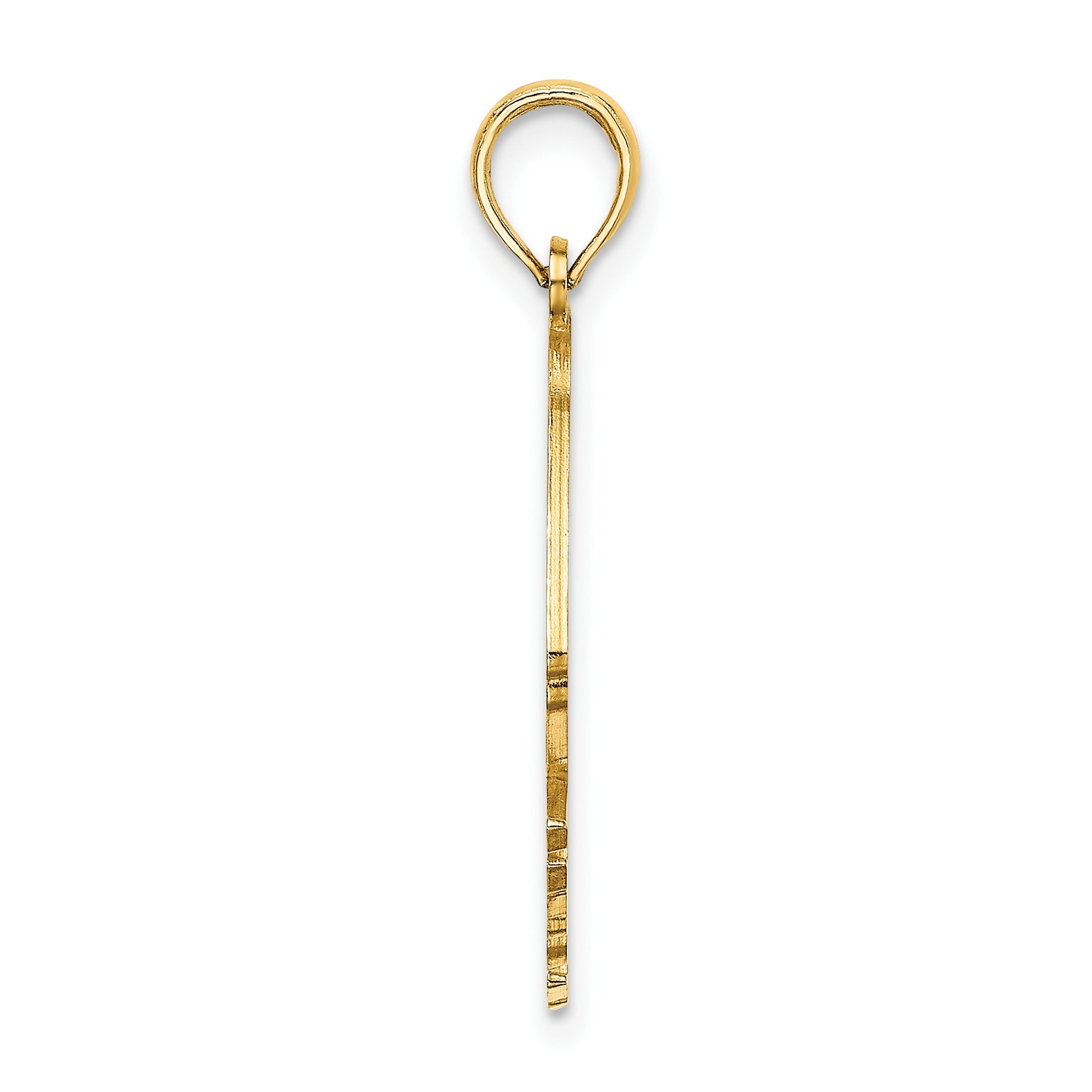 14K Polished Cut-Out ARUBA Under Angelfish Charm