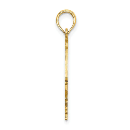 14K Polished Cut-Out ARUBA Under Angelfish Charm
