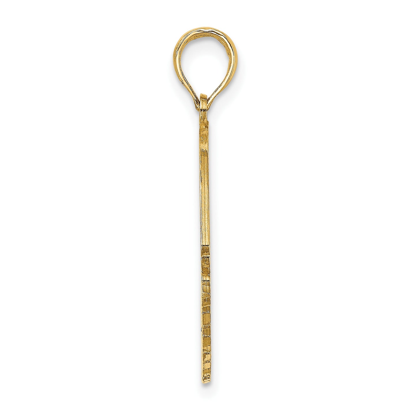 14K Polished ST. THOMAS Angelfish Charm