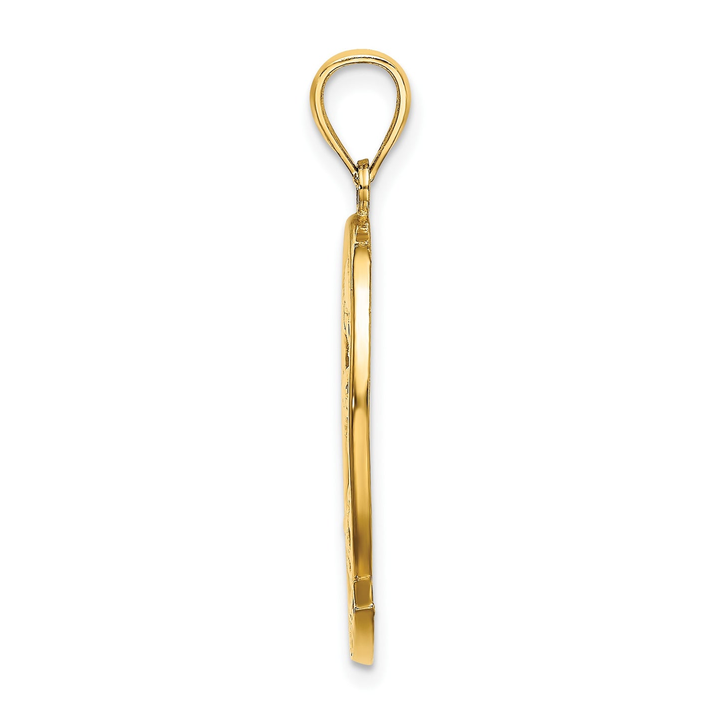 14K ARUBA with Dolphin Sunset In Frame Charm