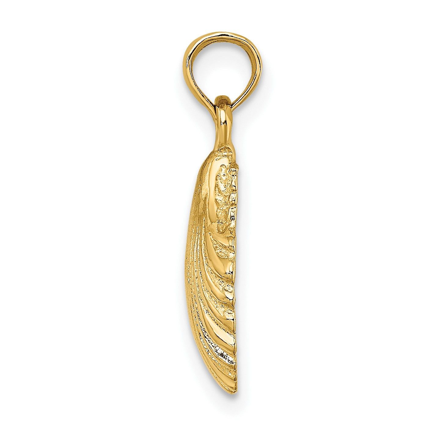14K Polished Scallop Shell Charm