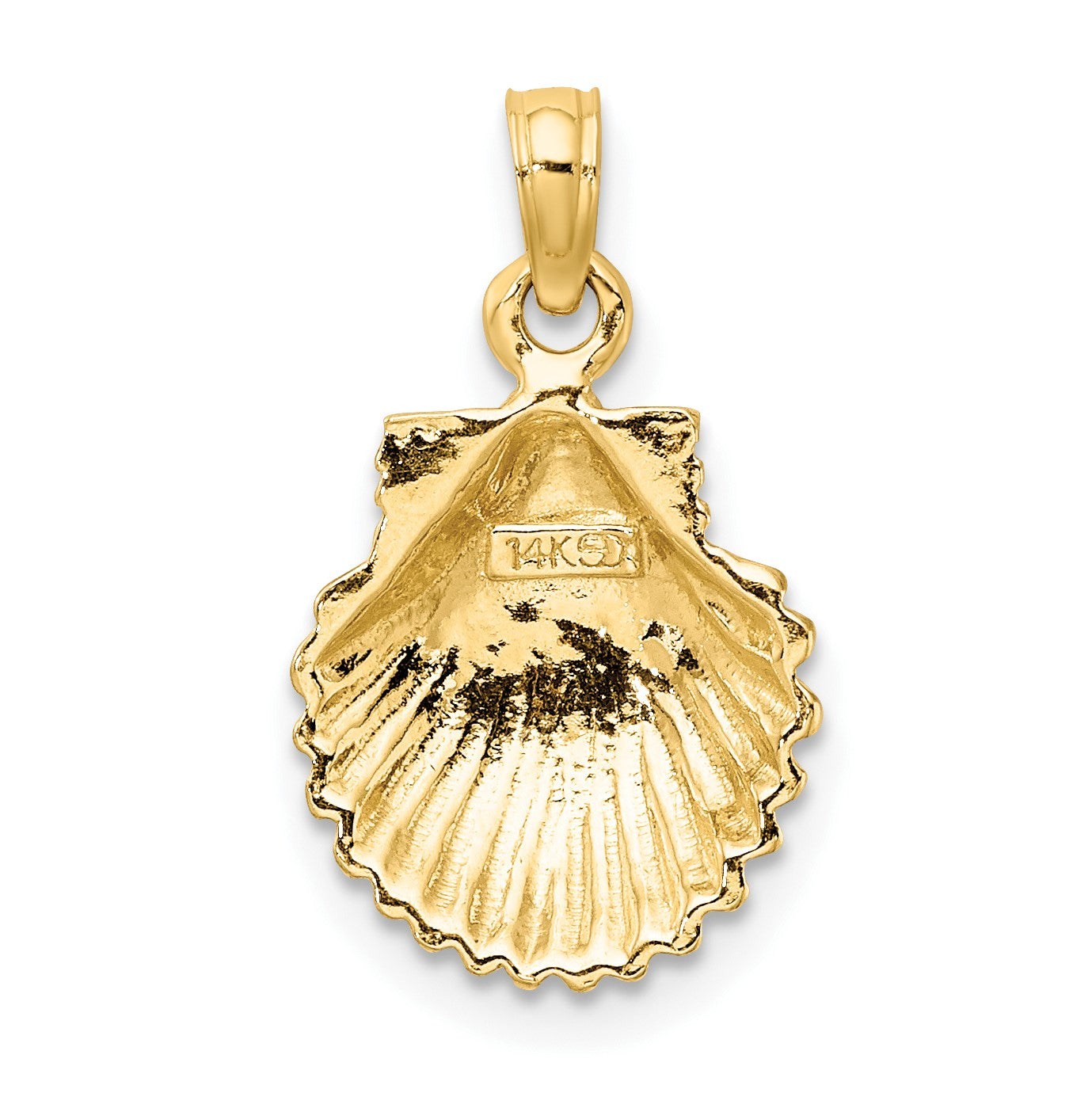 14K Polished Scallop Shell Charm