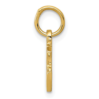 14k Chinese Symbol Good Luck Charm