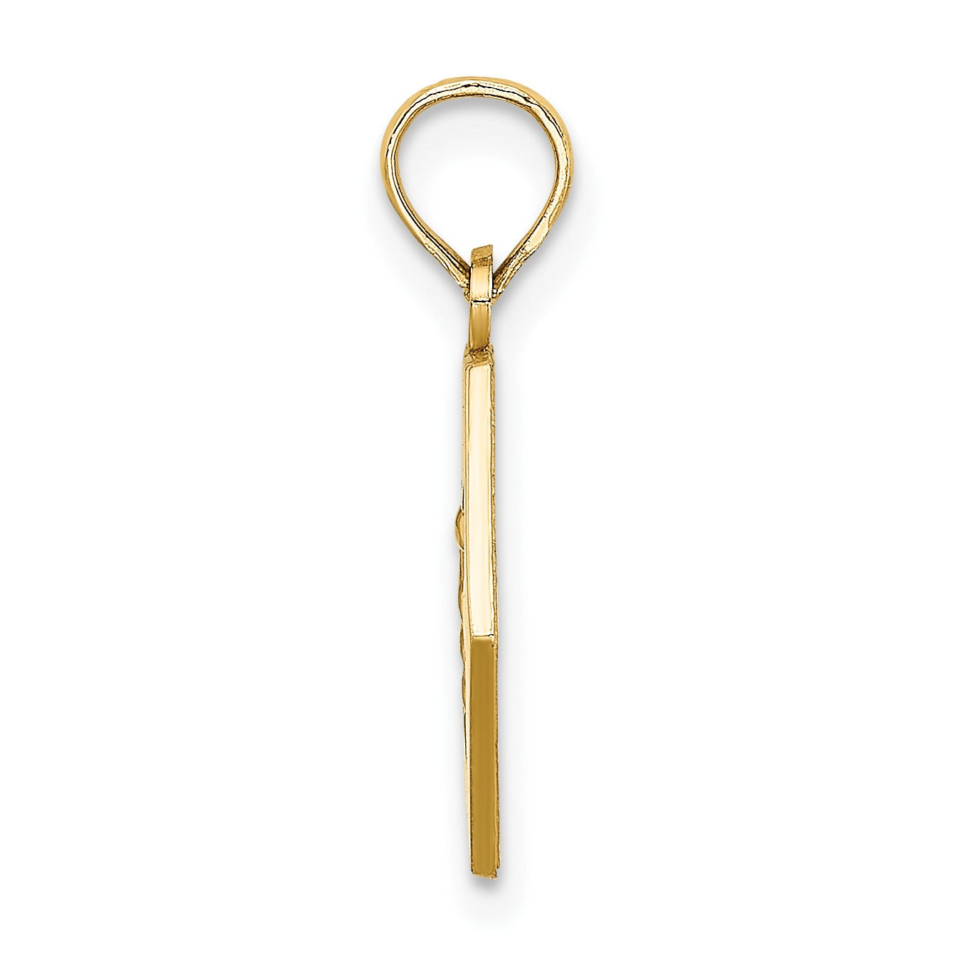 14K Caduceus Textured Back Medical Charm