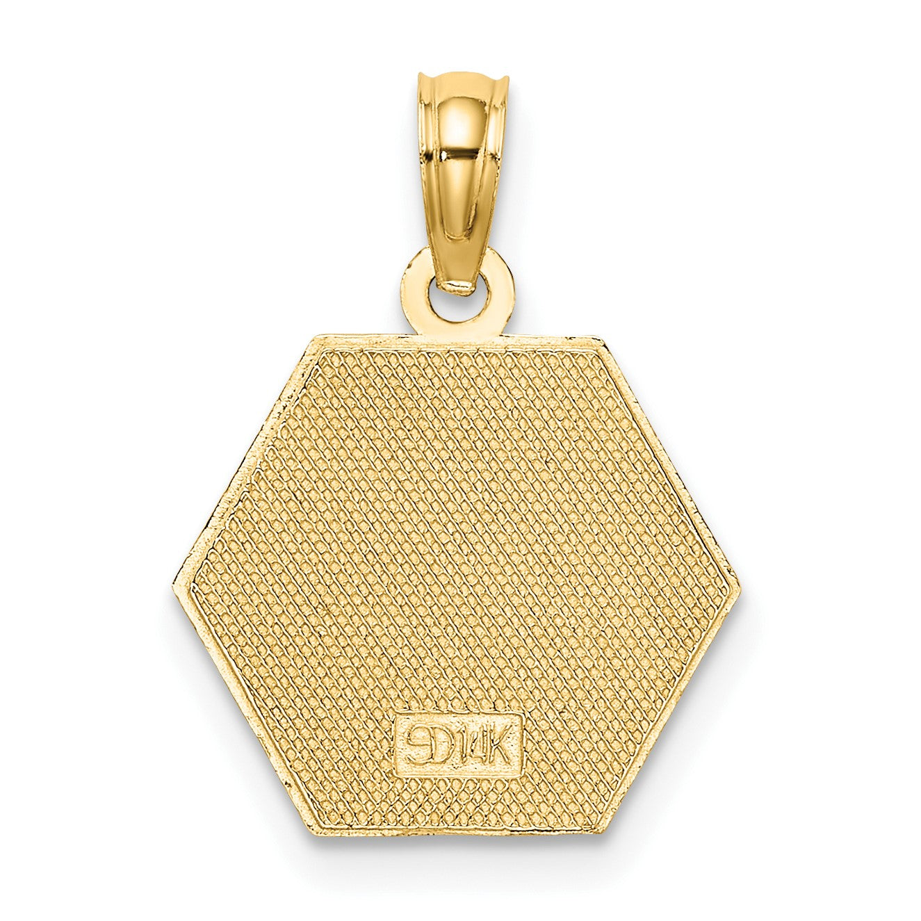 14K Caduceus Textured Back Medical Charm