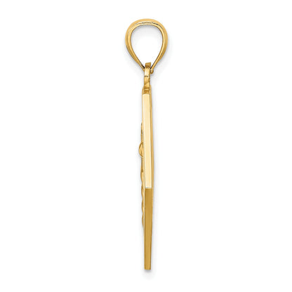14K Textured Back Caduceus Medical Disc Pendant